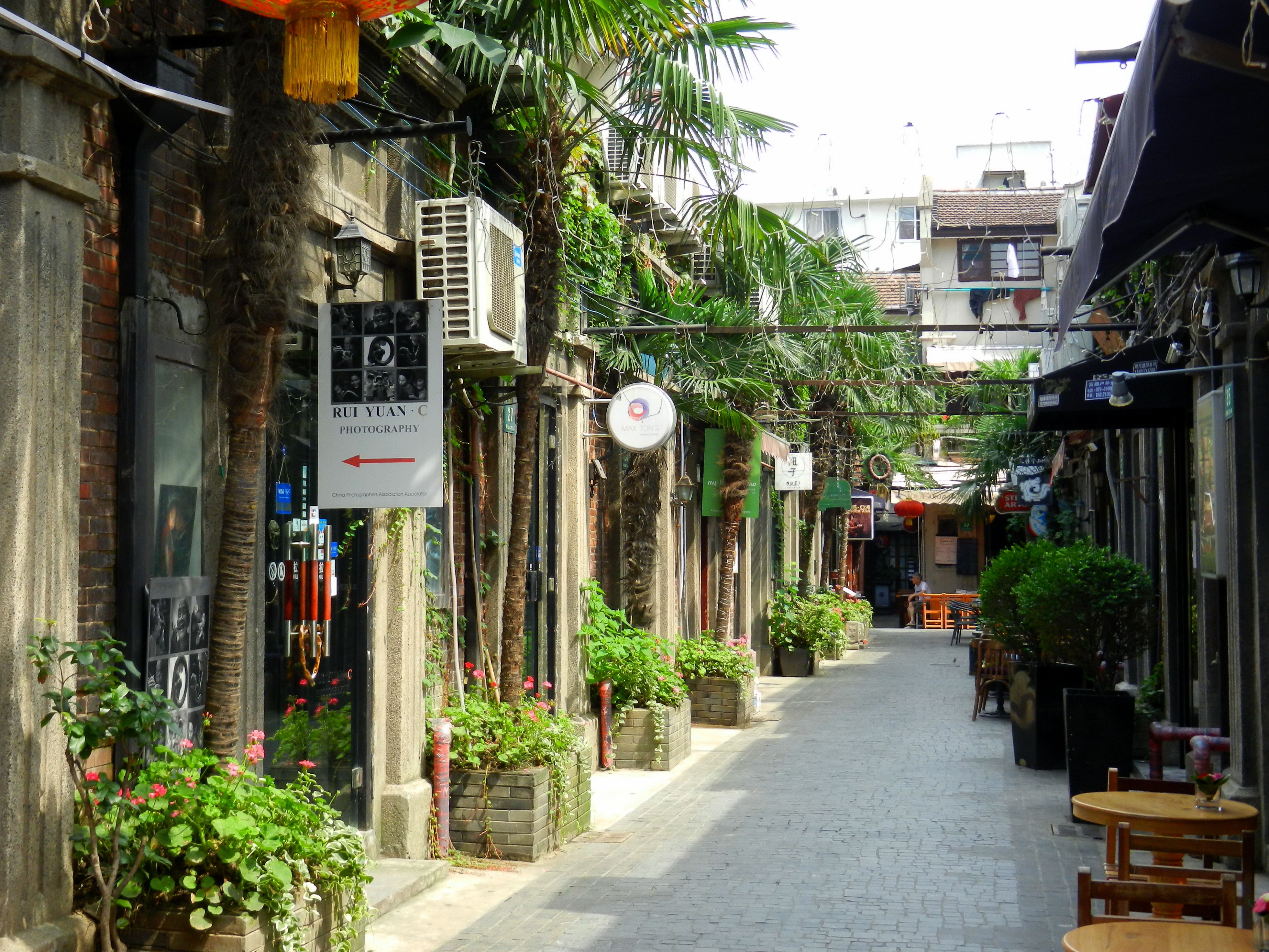French Concession & Tianzifang — An Afternoon on Foot
